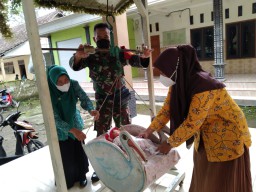 Peduli kesehatan warga, Babinsa Koramil 13/Wonoayu dampingi posyandu