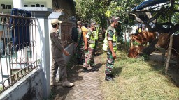 Antisipasi PMK, Babinsa Jajaran Kodim 0816/Sidoarjo Aktif Pantau Hewan Ternak Di Wilayah