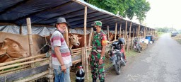 Babinsa Koramil 0816/06 Tanggulangin Sertu Yoyo Komsos Bersama Warga Cegah Wabah PMK