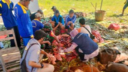 Bersama Petugas PPL Babinsa Koramil 0816/06 Tanggulangin Lakukan Pendampingan Penyembelihan Hewan Qurban