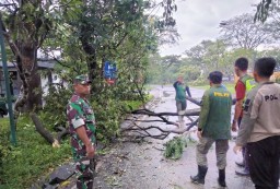 Babinsa Koramil 0816/01 Sidoarjo Kota sigap bantu warga terdampak puting beliung