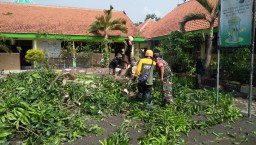 Demi Keselamatan Anak Sekolah - Babinsa Kedondong Sertu Syamsudin Tebang Pohon Di Halaman SDN 1 Kedondong