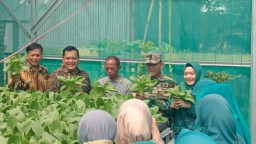 Danramil 0816/05 Bersama Para Muspika Kecamatan Tulangan Panen Sayuran Hidroponik Di Pemdes Kepunten
