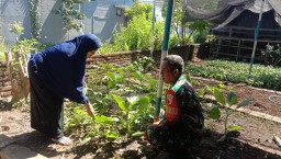 Wujudkan ketahanan pangan Babinsa Koramil 0816/01 Sidoarjo penanaman sayur mayur.