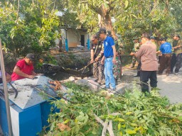 Enceng Ondok Kali Cantel, Desa Tropodo: Sasaran Bakti TNI Gotong Royong Bersih-Bersih Membangun Desa