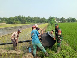 Peran Babinsa Koramil 0816/14 Taman dalam pendampingan petani mengusir hama