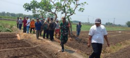 Babinsa dari Koramil 0816/10 Balongbendo Ikuti Pelatihan Teknologi Hortikultura