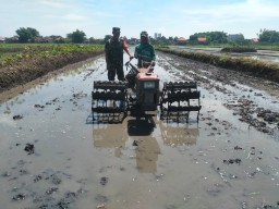 Babinsa Sarirogo Koramil 0816/01 Sidoarjo gerak cepat untuk persiapan tanam padi dalam rangka mewujudkan ketahanan pangan