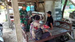 Babinsa Pagerngumbuk Serda Adi Mukhlas Memantau Dampak Curah Hujan Tinggi dan Angin Kencang di Desa Pagerngumbuk