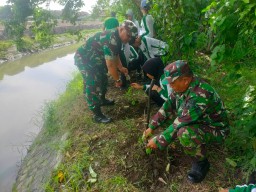Kolaborasi Bina Lingkungan, SMAN 1 Krembung Gandeng TNI dalam Penanaman Bunga Rosela