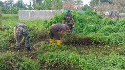 Wujud Pendampingan Ketahanan Pangan Wilayah Babinsa Koramil 0816/14 Taman Siapkan Lahan Jagung