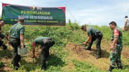 Jaga Lingkungan Tetap Asri, Koramil 0816/15 Sukodono Lakukan Penanaman Pohon