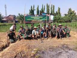 Babinsa Koramil 0816/04 Porong Sertu Suparno Dorong Ketahanan Pangan Melalui Penanaman Jagung di Desa Kesambi