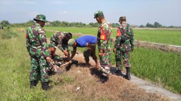Koramil 0816/13 Wonoayu Percepat Pembibitan Penghijauan dengan Target 1000 Pohon