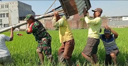 Babinsa Koramil 0816/15 Sukodono mendampingi Germas dirikan rumah burung hantu (Rubuha) bersama petani dan petugas penyuluh pertanian