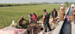 Serma Sukardi Babinsa Koramil 0816/05 Tulangan, Bantu Pembangunan Rumah Pompa Air untuk Petani Poktan Harapan Makmur 2