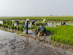 Babinsa Koramil 0816/08 Jabon Bantu Pompanisasi untuk Pengairan Sawah di Dusun Kaliwaru