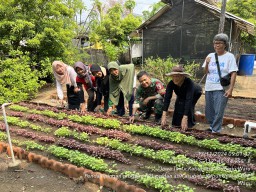 Babinsa Koramil 0816/16 Waru Dampingi Warga Perumahan Rewwin Tanam Sayur Mayur, Wujudkan Ketahanan Pangan di Lahan Perkotaan