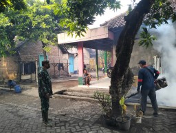 Cegah DBD, Babinsa Koramil 0816/07 dan Puskesmas Krembung Gelar Fogging di Dusun Candi