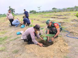 Babinsa Koramil 0816/14 Taman Dorong Ketahanan Pangan Melalui Penanaman Pisang Cavendish