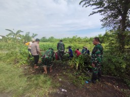 Danramil 0816/07 Krembung Pimpin Karya Bakti Bersihkan Enceng Gondok, Wujudkan Lingkungan Bebas Banjir