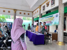 Pelatihan Ketahanan Pangan Desa Sambi Bulu, Babinsa Koramil 0816/14 Taman Hadiri Pemberian Bantuan Bibit dan Pupuk