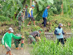 Warga Desa Pulungan Bersama Koramil 0816/18 Sedati Bersihkan Aliran Sungai dari Enceng Gondok