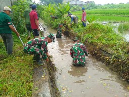Sinergi Forkopimka, Dinkes Sidoarjo, dan Masyarakat Bersatu untuk Cegah Banjir di Desa Jeruklegi dan Balongbendo