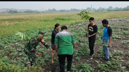 Babinsa Koramil 0816/17 Gedangan Bersama Forkopimka Tanam Pohon Mahoni untuk Lingkungan Lebih Hijau
