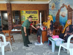 Babinsa Koramil 0816/14 Taman Dampingi PIN Polio Tahap 1, 85 Balita Terlayani di Posyandu Turisari