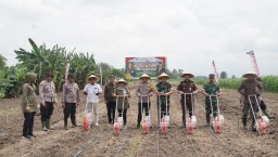 Forkopimda Gelar Penanaman Jagung 1 Juta Hektar di Balongbendo untuk Dukung Swasembada Pangan 2025