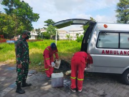 Babinsa Jimbaran Kulon Dampingi Fogging, Wujud Kepedulian Cegah DBD di Musim Pancaroba