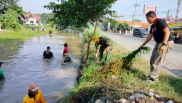 Karya Bhakti Bersama, Anggota Koramil 0816-12/Prambon Bersihkan Eceng Gondok di Sungai Sekunder Gedangrowo