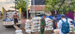 Babinsa Koramil 0816/06 Tanggulangin Dampingi Panen Padi di Desa Putat