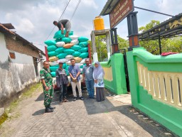 Babinsa Koramil 0816/09 Krian Dampingi Penyerapan Gabah Petani oleh Bulog