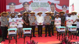 Dandim 0816/Sidoarjo Hadiri Panen Jagung di Desa Bulang untuk Dukung Ketahanan Pangan 2025