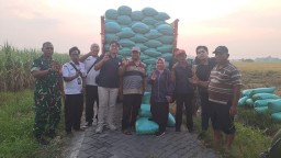Babinsa Balongbendo Kawal SERGAB di Desa Watesari, 9,5 Ton Gabah Petani Diserap Bulog