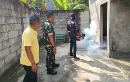 Serka Catur Wahyu. S Babinsa Boro Lakukan Pendamping Giat Fogging