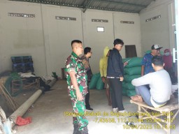 Babinsa 0816/11 Koramil Tarik Dampingi SERGAB: Wujud Nyata Dukung Ketahanan Pangan Lewat Serapan Gabah Petani