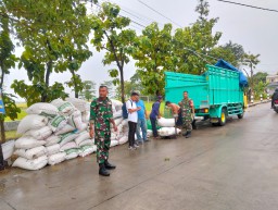 10 Ton Lebih Gabah Diserap Bulog, Babinsa Koramil 0816/09 Krian Terung Wetan Dampingi Petani Panen Padi