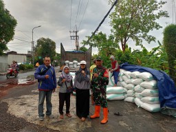 Sentuhan Humanis TNI, Koptu M Rifai Dampingi Petani Sawotratap Raih Berkah Panen Melimpah
