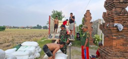 Sinergi Solid Babinsa Wonokasian dan Petani Wujudkan Lumbung Pangan Sejahtera