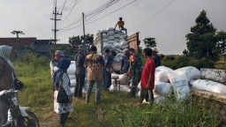 Babinsa Koramil 0816/13 Wonoayu Dampingi Petani Dusun Pendem Panen Padi, 18,8 Ton Gabah Diserap Bulog