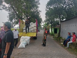 Babinsa Tanggul Dampingi Panen Padi di Lahan 16 Hektar, Perkuat Sinergi TNI dan Petani Wujudkan Ketahanan Pangan