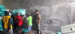 Babinsa Koramil 0816/10 Balongbendo Dampingi Kegiatan SERGAB, Serap Gabah Petani Sebanyak 17,463 Kg di Desa Sumo Kembangsri
