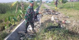 Semangat Gotong Royong Mengalir di Desa Ganting, Babinsa dan Warga Bersinergi Demi Suksesnya Musim Tanam