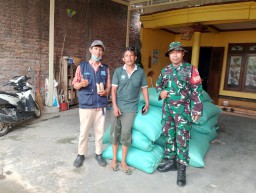 Sinergi TNI dan Petani Prambon Hasilkan Panen Raya 17 Ton Gabah, Bulog Siap Serap untuk Ketahanan Pangan