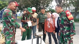 Babinsa Koramil 0816/03 Buduran Dukung Ketahanan Pangan, Dampingi Langsung Serapan Gabah Petani