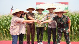 Panen Raya Jagung Serentak, Sinergi Forkopimda Sidoarjo dan Petani Menuju Swasembada Pangan 2025