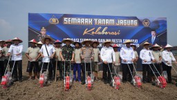 Semangat Bersama Tanam Jagung, Dandim 0816 dan Bupati Sidoarjo Apresiasi Kolaborasi Imigrasi-Polresta Wujudkan Ketahanan Pangan Lintas Sektor